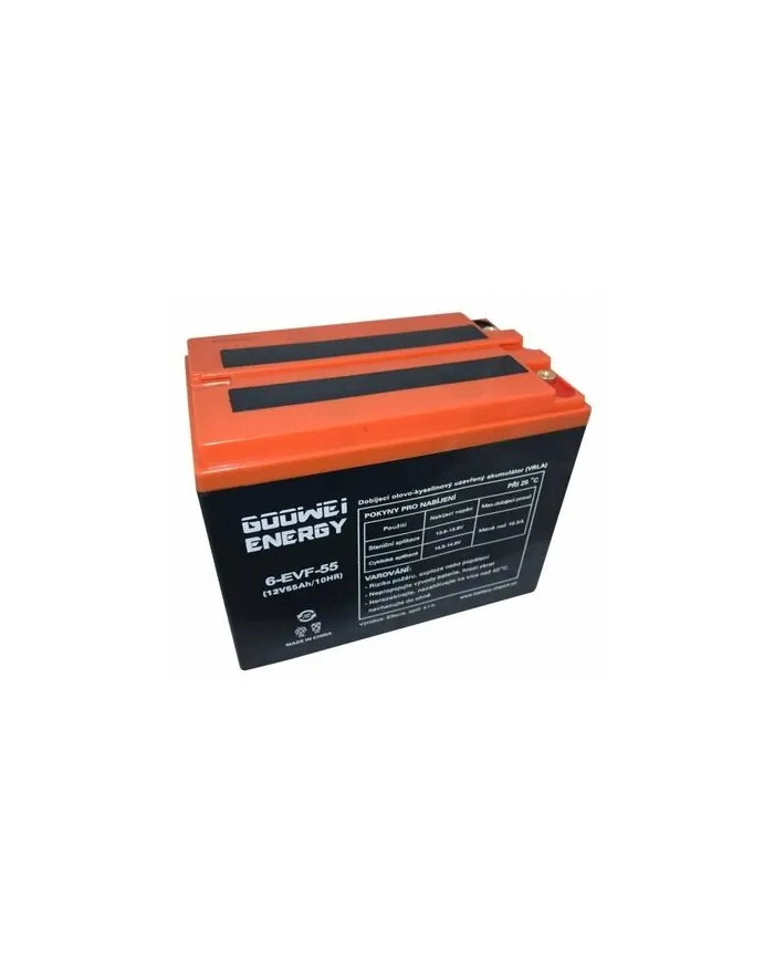Goowei Energy Akumulator trakcyjny Pb VRLA GEL 12V 55Ah (6EVF55) główny