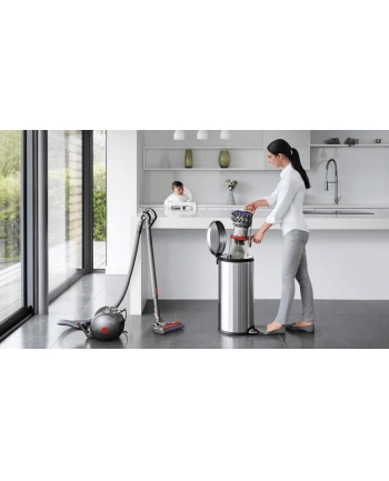 Dyson Big Ball Absolute 2 Srebrny nr 2