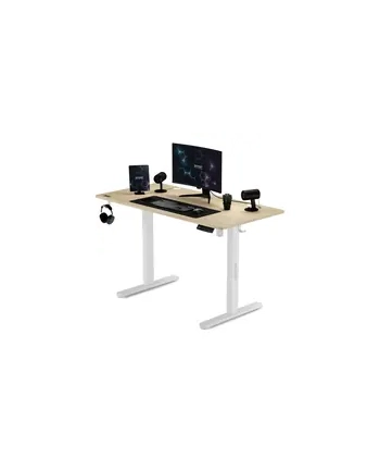 Sense7 Biurko Elektryczne Nojo 120X60 White Pine (5902659844675) nr 1