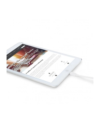 dicota Ładowarka GaN 45W 2xUSB-C biała nr 2