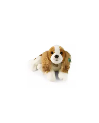 Rappa Maskotka Pluszak Piesek King Charles Leżący Eco Friendly 50cm Prezent nr 1