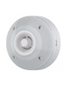 Axis D4100-Ve Mk II Updated (3105001) - nr 1