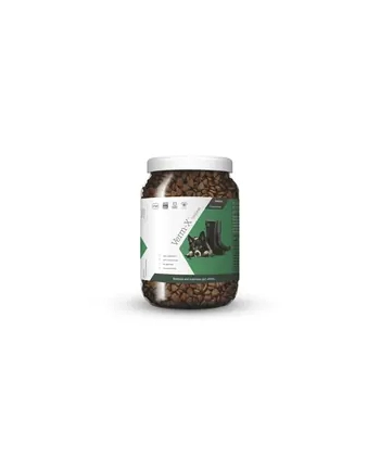 Verm-X Naturalny Granulat Przeciw Pasożytom Jelitowym Dla Psów 650G VE11 nr 1