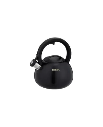 Czajnik nieelektryczny TEFAL N4180410 nr 1