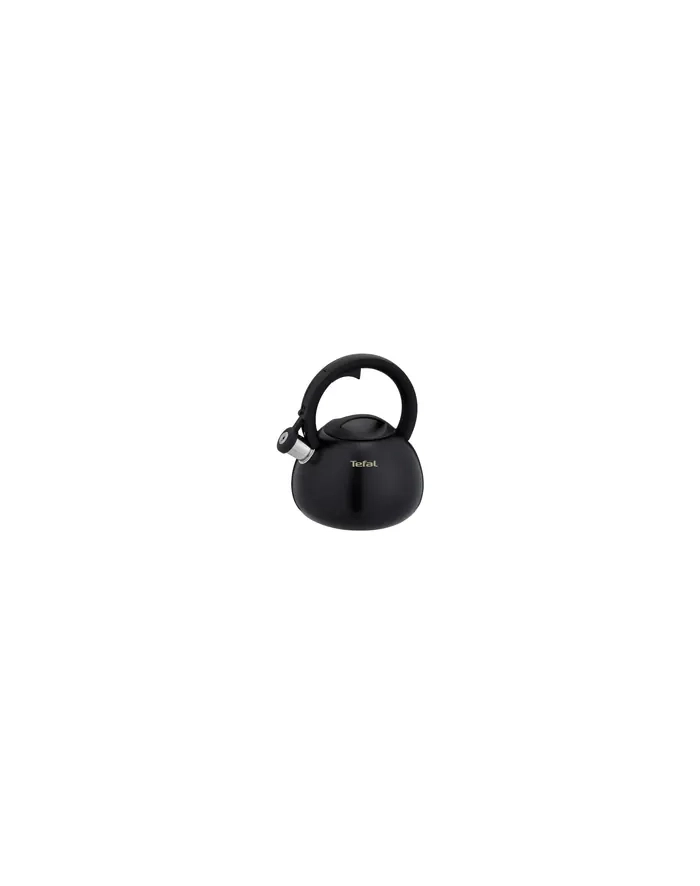 Czajnik nieelektryczny TEFAL N4180410 główny