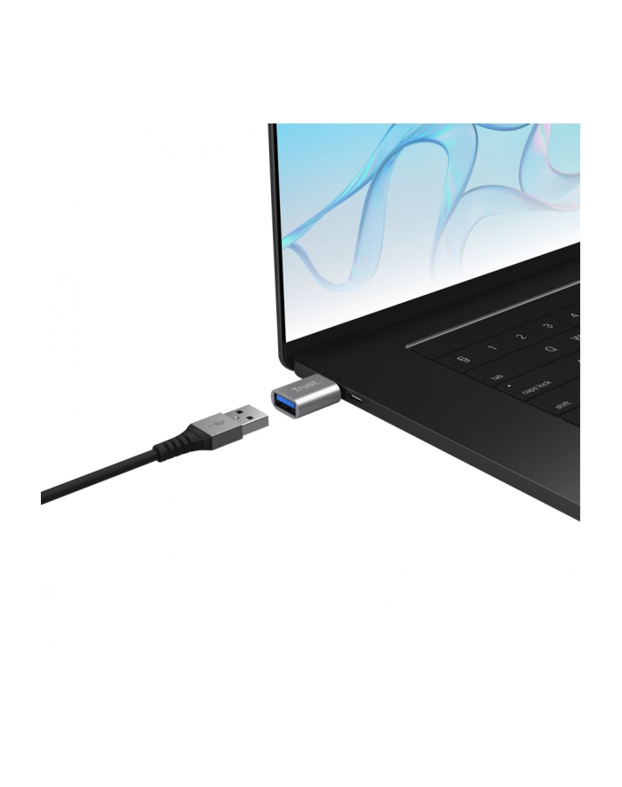 Przejściówka TRUST Calyx USB-C na USB-A 2-pak główny