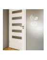 Alecto COA3910 Carbon Monoxide Alarm - 10 Year Sensor - Display - nr 12