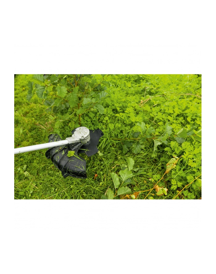 Bosch Ostrze do Wykaszarki 25 cm 4-Zeby główny
