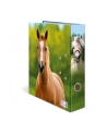 1x10 Herma Motiv-Ordner   DIN A4 Zwierzeta  20096 - nr 6