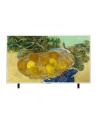 LG 55LX7B6LA.AEEQ Telewizor - nr 52