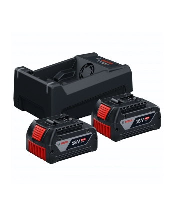 Bosch 2xGBA18V 5.0Ah, GAL12V/18 Starterkit nr 1