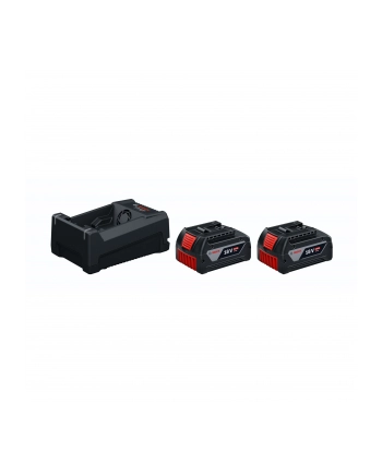 Bosch 2xGBA18V 5.0Ah, GAL12V/18 Starterkit nr 2