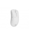 Genesis Zircon 880 Biała (NMG2380) - nr 14