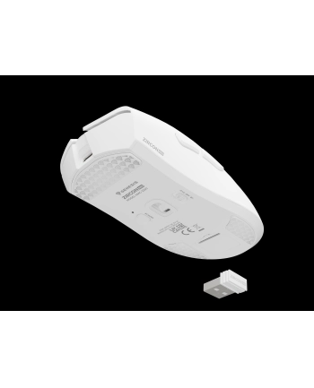 Genesis Zircon 880 Biała (NMG2380)
