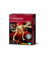 4M Wykopaliska Tyranozaur TRex - nr 2