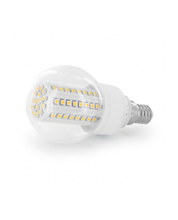 Whitenergy żarówka LED| E14 | 80 SMD | 4W | 230V | barwa zimna biała | kula B60