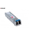 Intellinet moduł MiniGBIC/SFP 1000BaseSX (LC) - nr 13