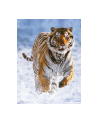 RAVEN. 500 EL. TYGRYS W ŚNIEGU - nr 3