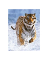 RAVEN. 500 EL. TYGRYS W ŚNIEGU - nr 5