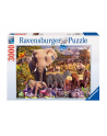 RAVEN. 3000 EL. AFRYKAŃSKIE ZWIERZĘTA - nr 7