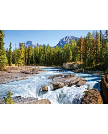CASTOR 1500 EL. JASPER NAT.PARK, CANADA