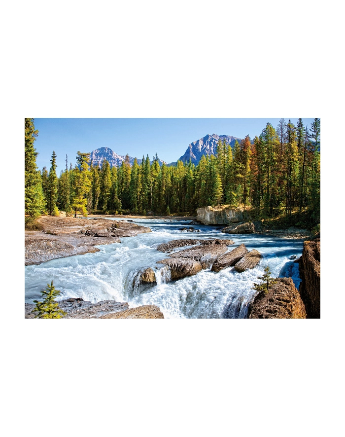 CASTOR 1500 EL. JASPER NAT.PARK, CANADA główny