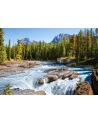 CASTOR 1500 EL. JASPER NAT.PARK, CANADA - nr 2