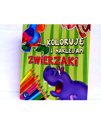 AMI PLAY Koloruję i Naklejam Zwierzaki 1