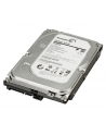 HP 1TB SATA 6Gb/s NCQ 7200 HDD - nr 16