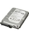 HP 1TB SATA 6Gb/s NCQ 7200 HDD - nr 24