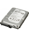HP 1TB SATA 6Gb/s NCQ 7200 HDD - nr 28