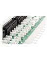 Patch panel Digitus  ISDN 19'' 50-portowy - nr 19