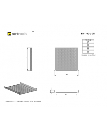 Netrack półka 19'' 1U/300mm, popiel