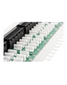 Patch panel Digitus  ISDN 19'' 50-portowy - nr 14