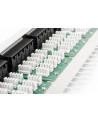 Patch panel Digitus  ISDN 19'' 50-portowy - nr 23