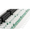 Patch panel Digitus  ISDN 19'' 50-portowy - nr 34