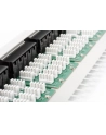 Patch panel Digitus  ISDN 19'' 50-portowy - nr 4