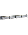 Intellinet patch panel 19 - nr 41