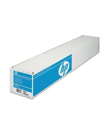 Papier HP Professional Satin Photo | 300g | rola 24' | 15.2m nr 2