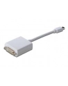Adapter DisplayPort 1.1a mini DP - DVI M/F 0.15m - nr 10