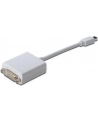 Adapter DisplayPort 1.1a mini DP - DVI M/F 0.15m - nr 18