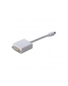 Adapter DisplayPort 1.1a mini DP - DVI M/F 0.15m - nr 20