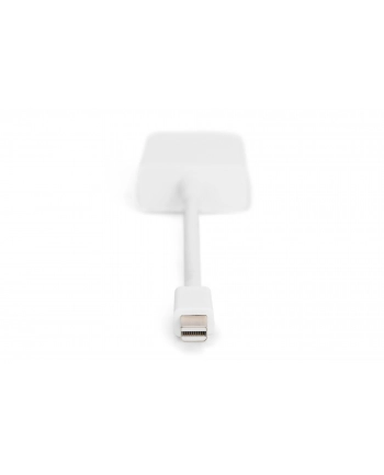 Adapter DisplayPort 1.1a mini DP - DVI M/F 0.15m