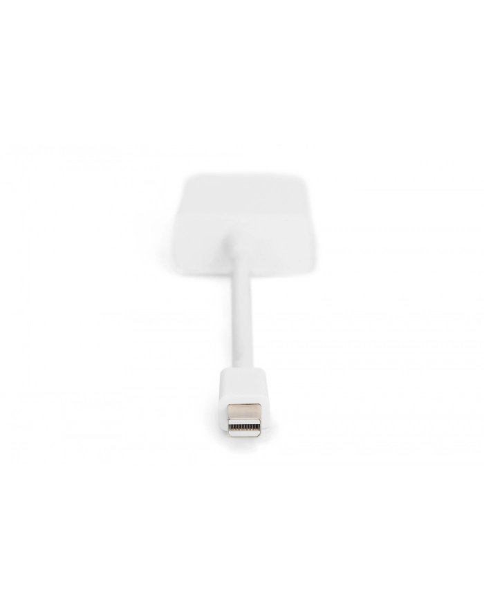 Adapter DisplayPort 1.1a mini DP - DVI M/F 0.15m główny