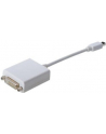 Adapter DisplayPort 1.1a mini DP - DVI M/F 0.15m - nr 18