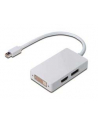 Adapter DisplayPort 1.1a miniDP-DP+HDMI+DVI 0.2m - nr 10