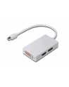 Adapter DisplayPort 1.1a miniDP-DP+HDMI+DVI 0.2m - nr 17