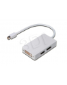 Adapter DisplayPort 1.1a miniDP-DP+HDMI+DVI 0.2m - nr 4