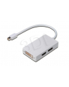 Adapter DisplayPort 1.1a miniDP-DP+HDMI+DVI 0.2m - nr 9