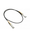 Cisco 10GBASE-CU SFP+ Cable 1 Meter - nr 7